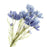 Coreopsis Flower Bundle - 3 stems x 62cm long - Blue