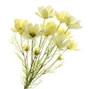 Coreopsis Flower Bundle - 3 stems x 62cm long -Cream
