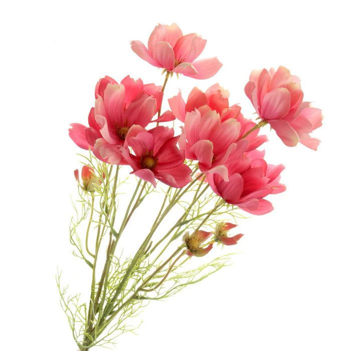Coreopsis Flower Bundle - 3 stems x 62cm long - Pink