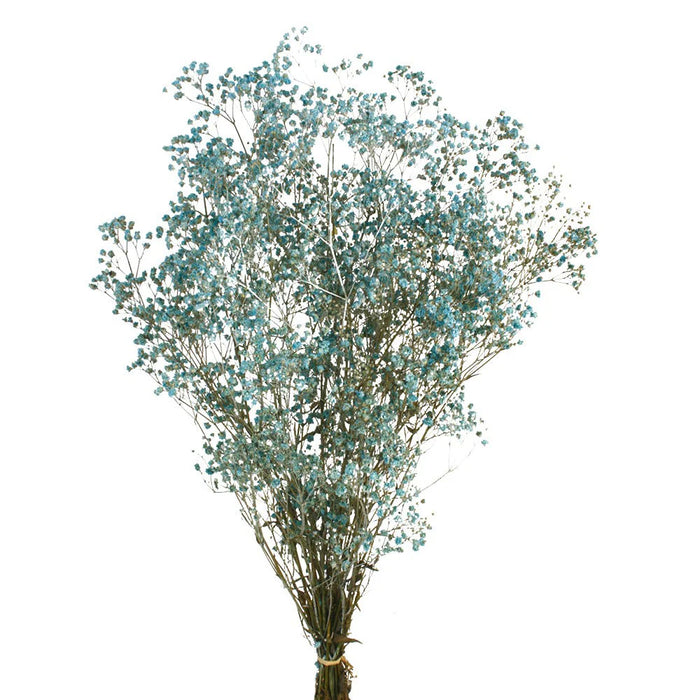 Preserved Gypsophila - Dusky Blue x 60cm long - 100g per pack