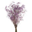 Preserved Gypsophila - Dusky Purple x 60cm long - 100g per pack