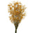 Preserved Gypsophila - Orange x 60cm long - 100g per pack