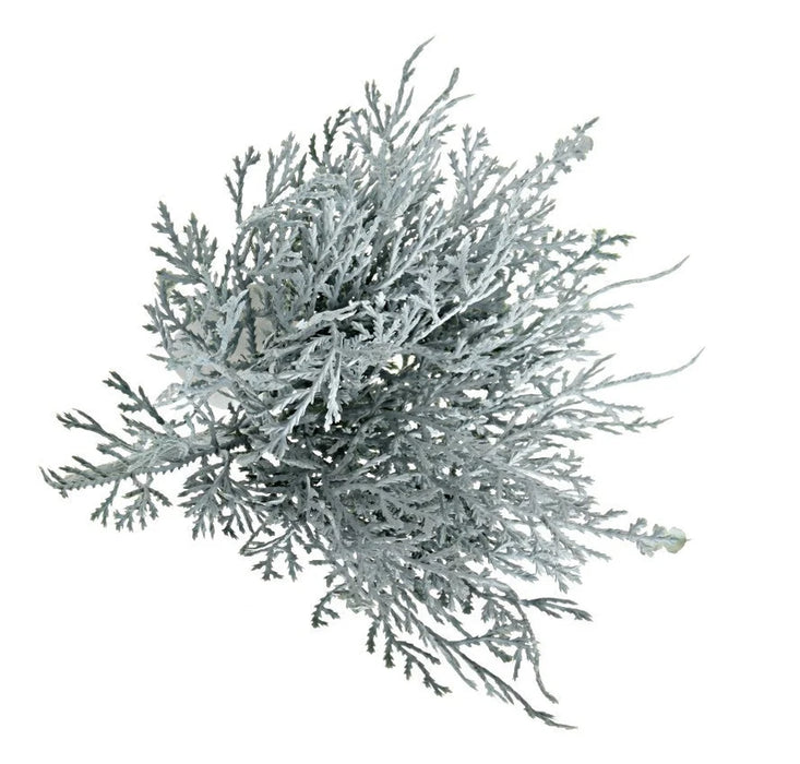 Winter Grey Pine Bush x  25cm