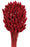 Preserved Phalaris - Raspberry x 80cm long - 150g per pack