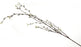 Pussy Willow Spray - Natural (135cm long)