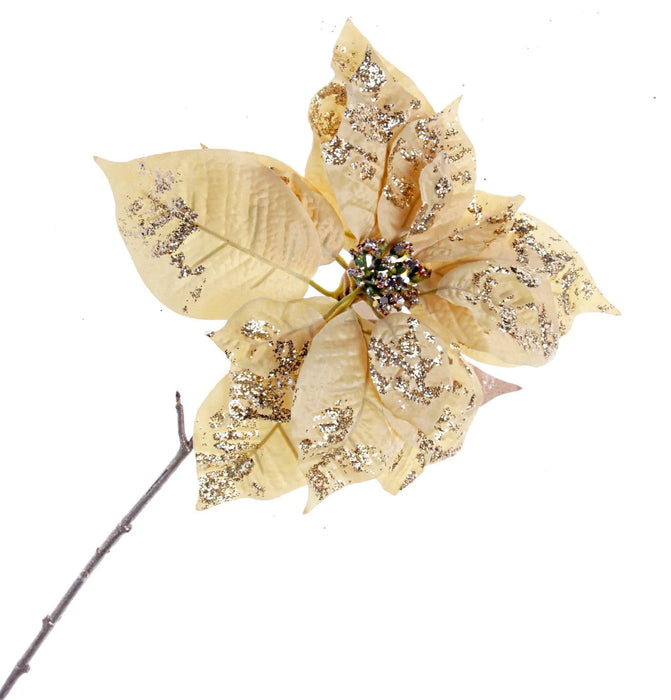 Single Glittered Poinsettia - Gold  (25cm diameter, 53cm long)