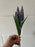 4 Stem Muscari Flower Bundle x 28cm - purple