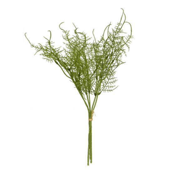 40cm Asparagus Fern Bundle