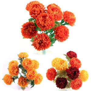 Autumn Mum Bush - Colour Selected at Random