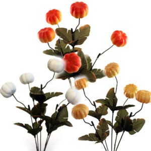 Small Pumpkin Bush - Colour Selected at Random