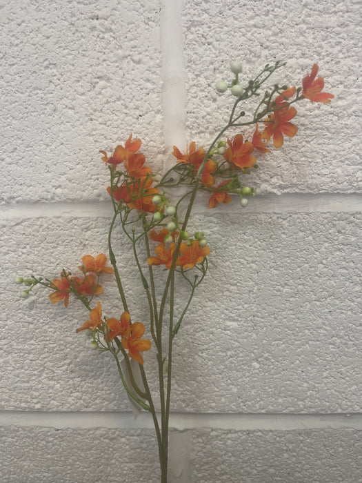 Single stem orange babies breath 65cm