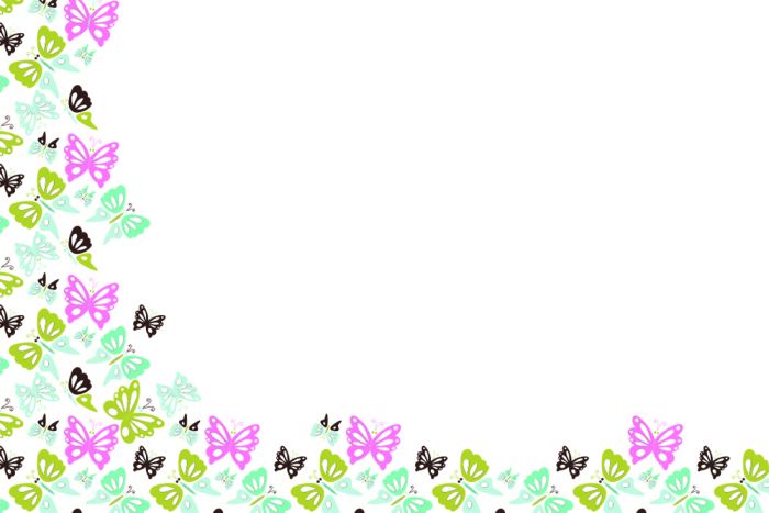 50 Blank Florist Cards - Mini Butterflies