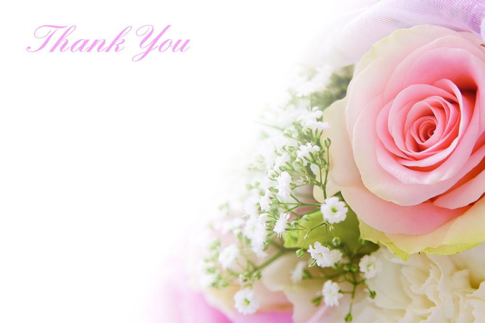50 Florist Cards - Thank You - Pink Rose