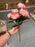 Pink dried look peony bush