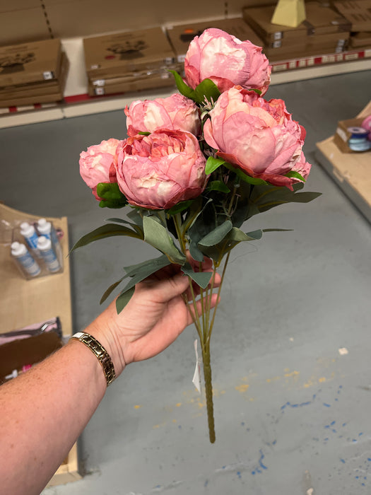 Pink dried look peony bush