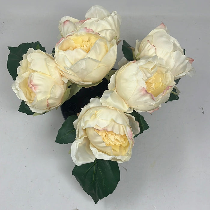 HANDMADE replacement pot with 6 Cream Peonies