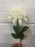 54cm Ivory dahlia