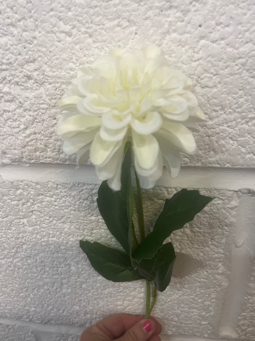 54cm Ivory dahlia