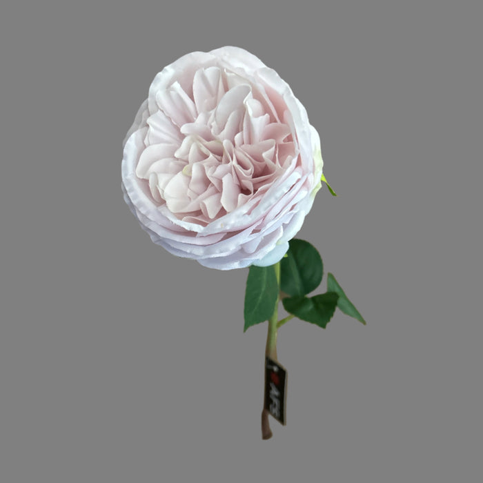 60cm Austin Rose - Light Mauve