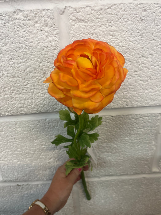 50cm orange ranunculus stem