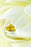 Folded Florist Cards - Blank - Pack of 25 -  Ivory Lotus