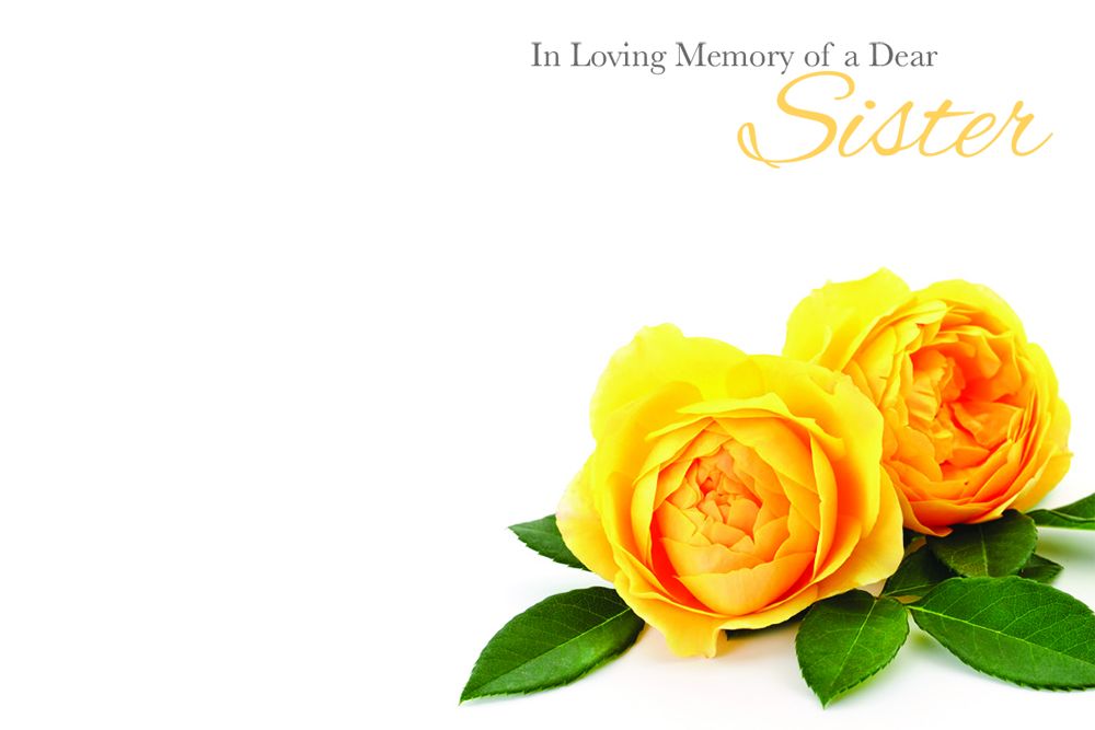 50 x Florist Cards - In Loving Memory of a Dear Sister - Yellow Roses