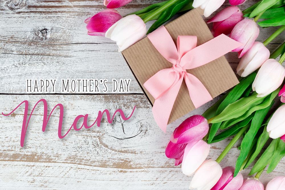 Mother's Day Flower Gift Cards -  Happy Mother's Day Mam - Packs of 50 Card