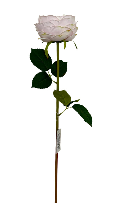 60cm Austin Rose - Light Mauve