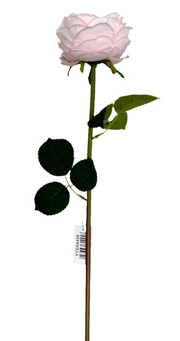 60cm Austin Rose - Light Pink