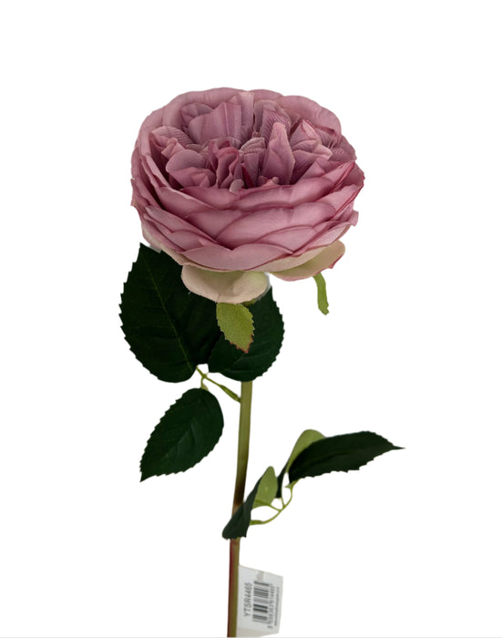 60cm Austin Rose - Light Purple
