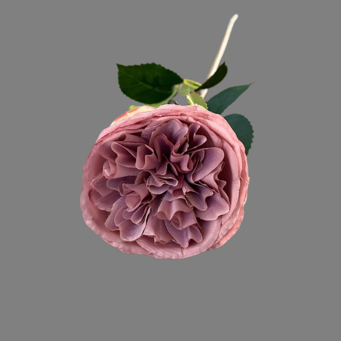 60cm Austin Rose - Light Purple