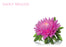 6 Large Florist Sympathy Message Cards - 12.5 x 9cm - Sadly Missed