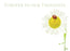 6 Large Florist Sympathy Message Cards - 12.5 x 9cm - Forever In Our Thoughts