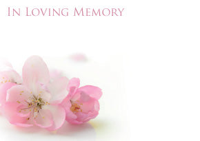 6 Large Florist Sympathy Message Cards - 12.5 x 9cm - In Loving Memory Pink Flowers