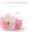 6 Large Florist Sympathy Message Cards - 12.5 x 9cm - In Loving Memory Pink Flowers