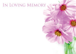 6 Large Florist Sympathy Message Cards - 12.5 x 9cm - In Loving Memory Pink Daisy