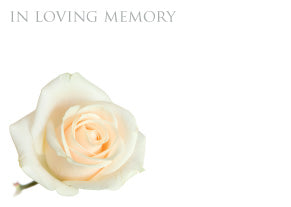 6 Large Florist Sympathy Message Cards - 12.5 x 9cm - In Loving Memory Cream Rose