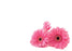 50  Florist Cards - Pink Gerbera