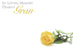 50  Florist Cards - In Loving Memory Gran