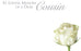50  Florist Cards - In Loving Memory Cousin