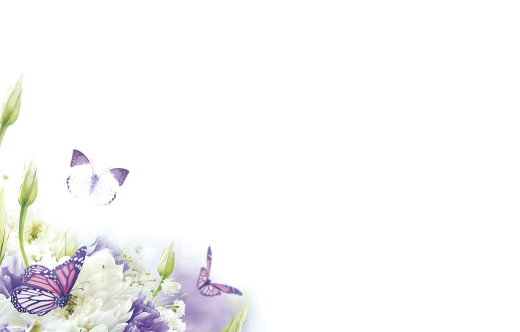 50  Florist Cards - Blank Butterflies & Flowers