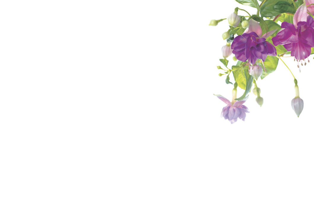 50  Florist Cards - Blank Floral