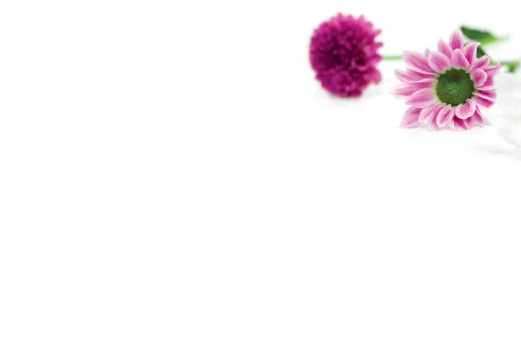 50  Florist Cards - Blank Pink Flowers