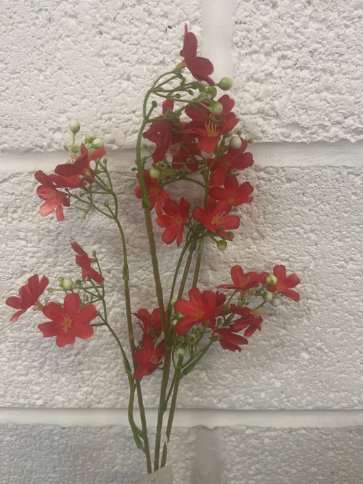 Single stem hot red babies breath 65cm