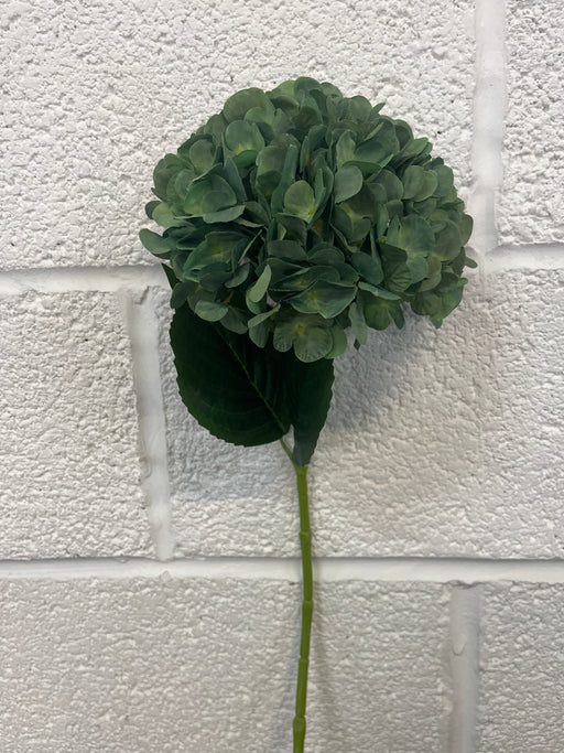 59cm Green hydrangea stem
