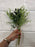 38cm greenery berry and foliage bush