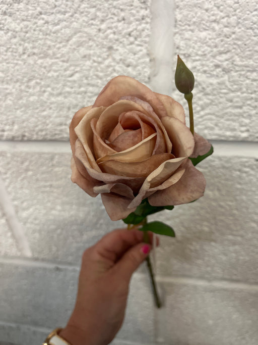 43cm Single stem rose - latte