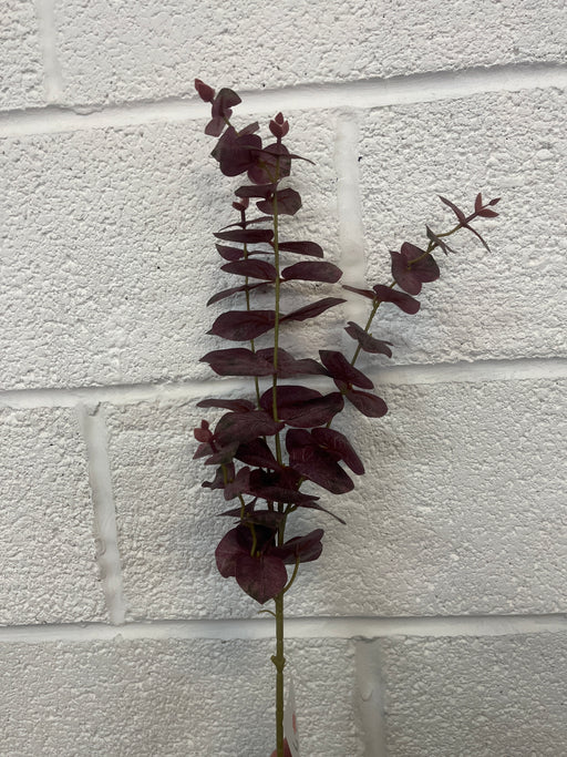 79cm burgundy red euclauptus stem