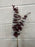 79cm burgundy red euclauptus stem