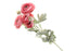6 Head Mini Ranunculus Flower Stem -  67cm Long - Baby Pink
